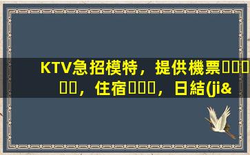 KTV急招模特，提供機票，住宿，日結(jié)